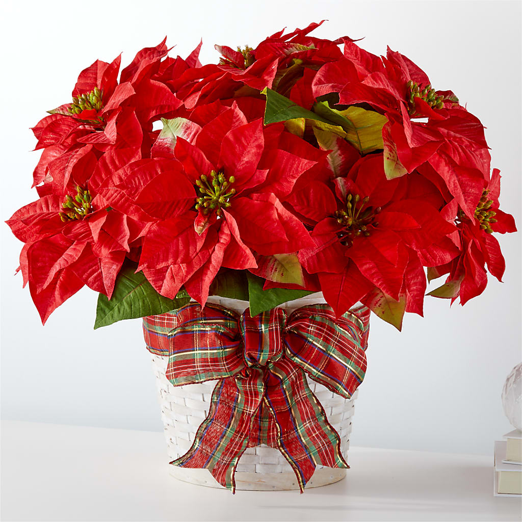 Happiest Holidays Poinsettia – Gerbes, Wichita KS