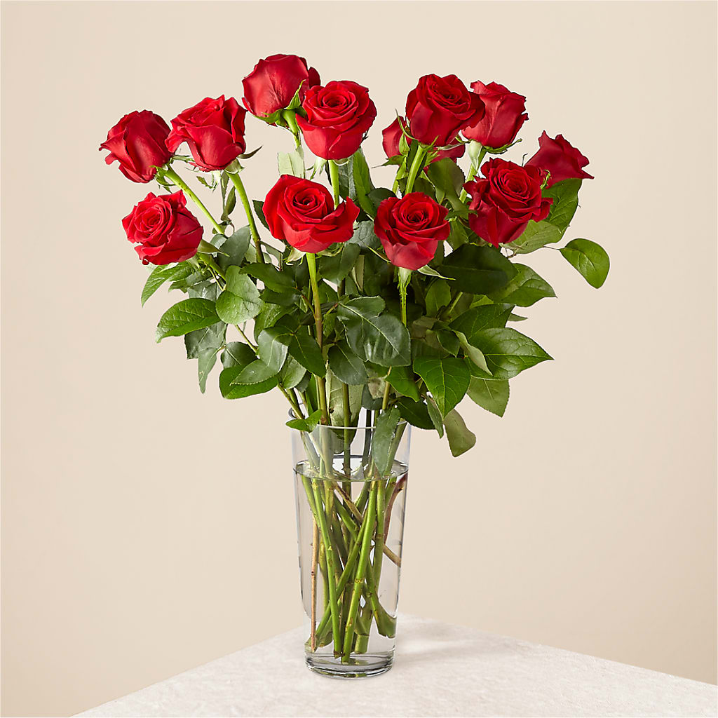 Long Stem Red Rose Bouquet – Gerbes, Wichita KS