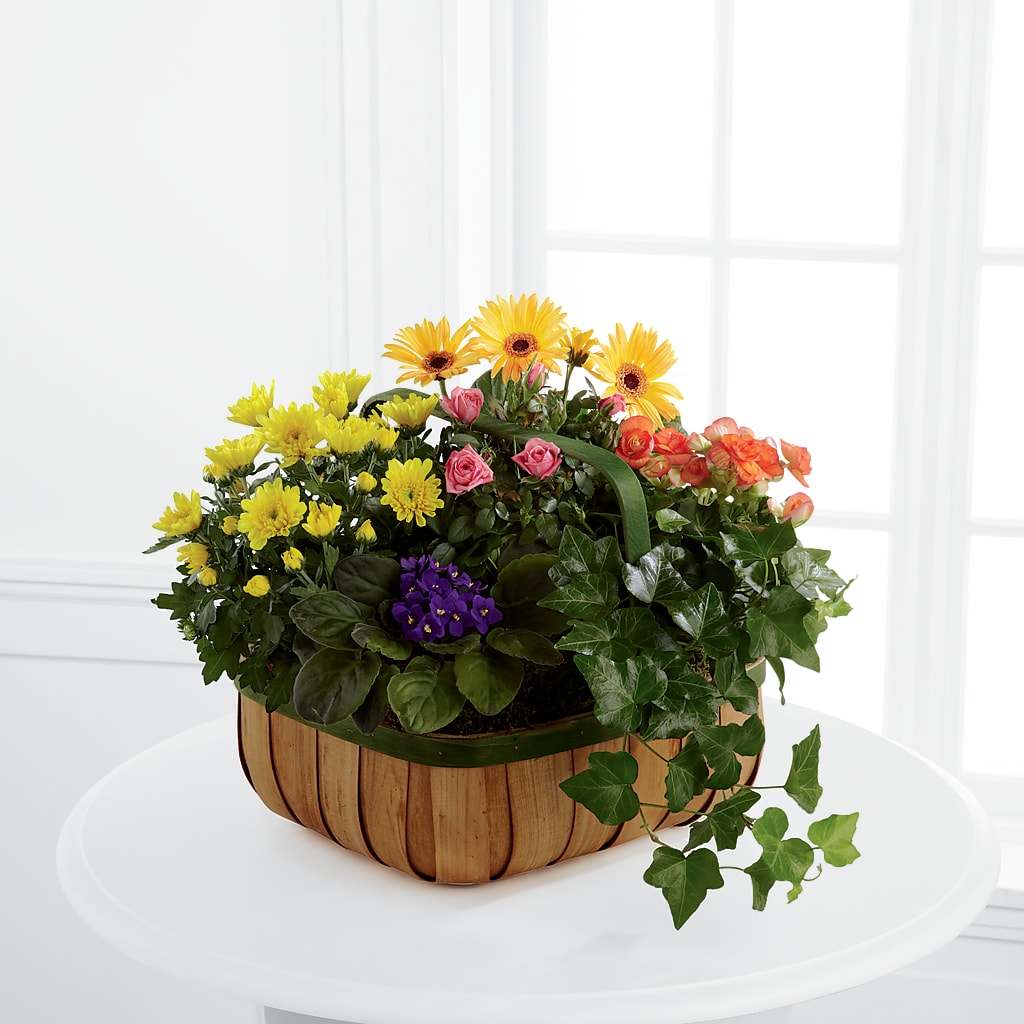 Gentle Blossoms Basket – Gerbes, Wichita KS