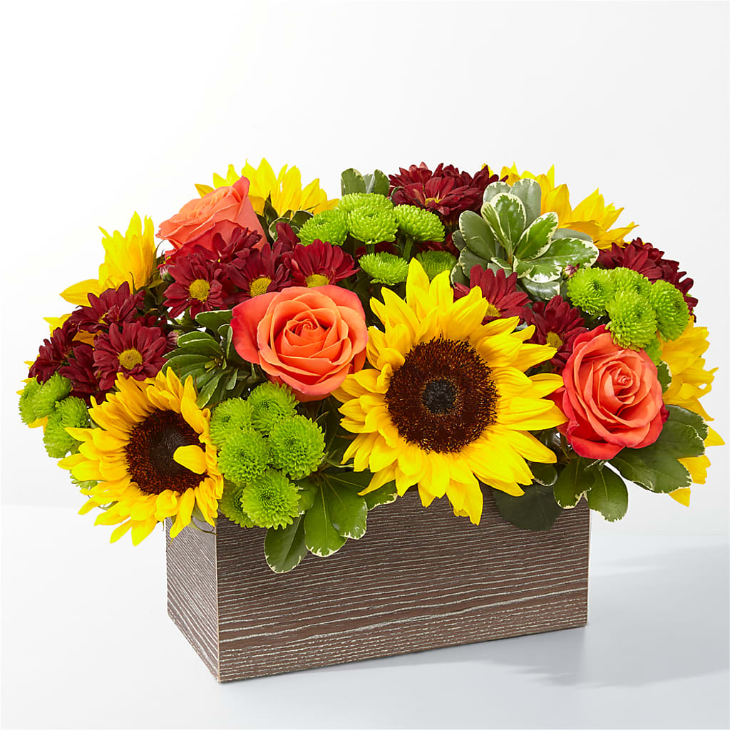 Happy Harvest Garden – Gerbes, Wichita KS