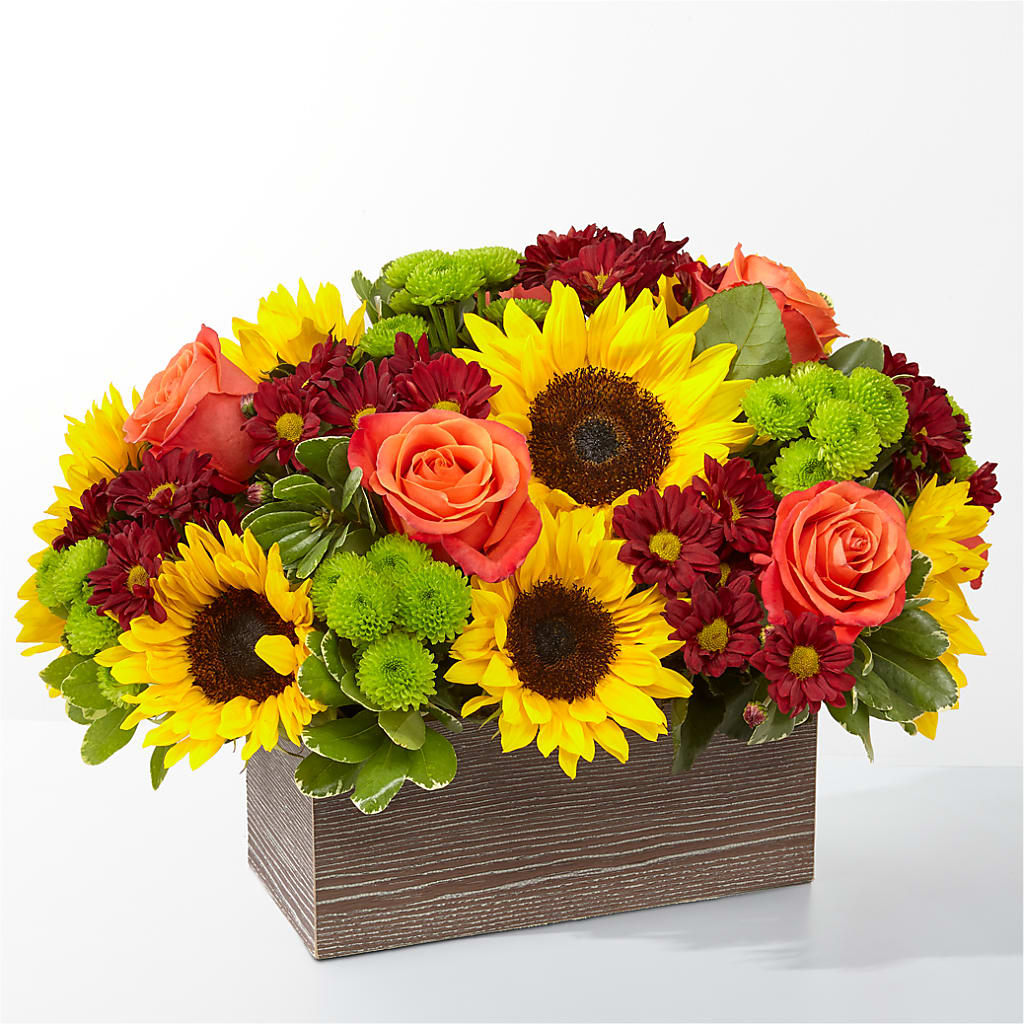 Happy Harvest Garden – Gerbes, Wichita KS
