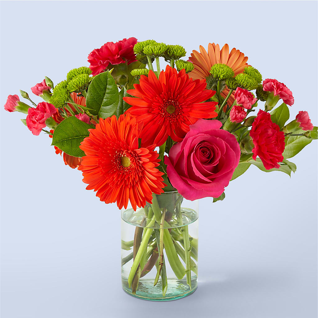 Best Dressed Bouquet – Gerbes, Wichita KS