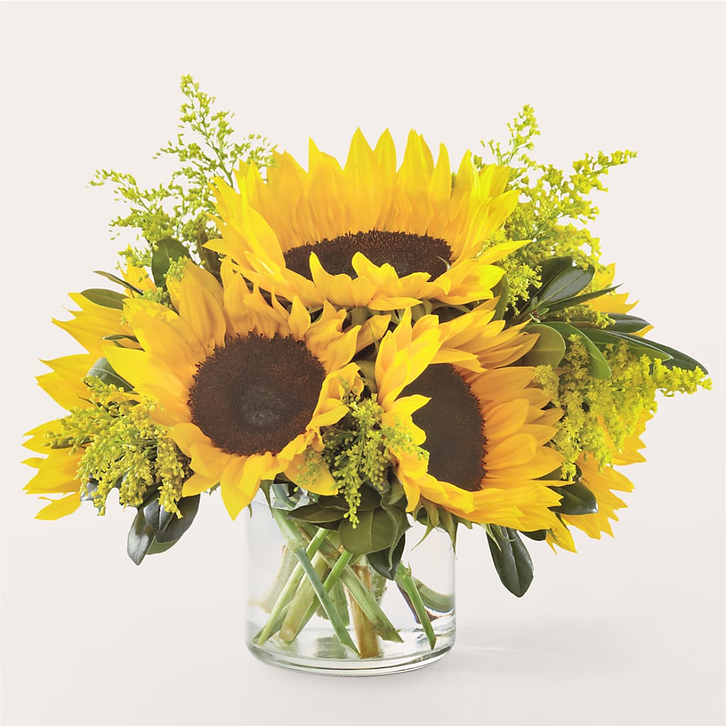 Beaming Sunflower Bouquet – Gerbes, Wichita KS