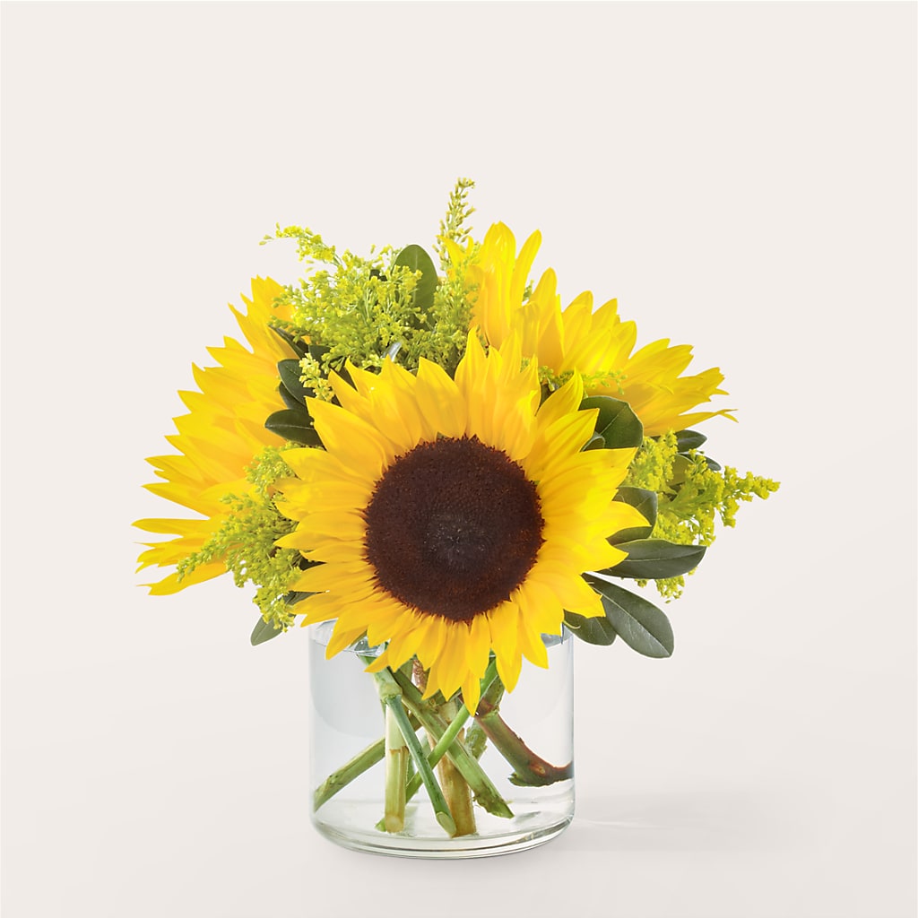 Beaming Sunflower Bouquet – Gerbes, Wichita KS