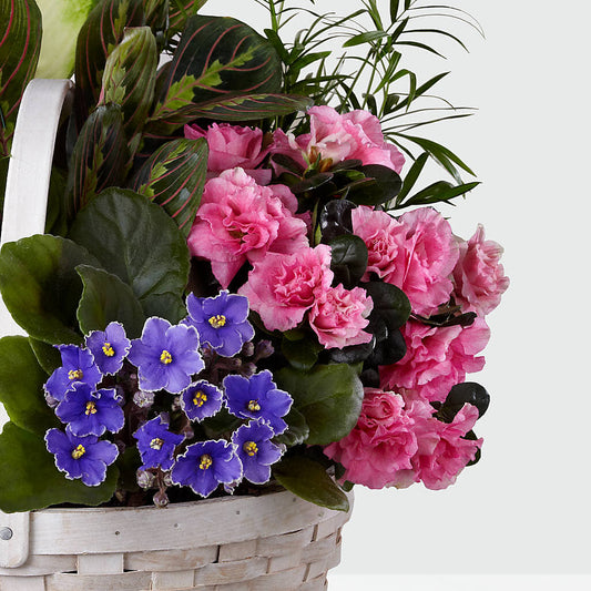 Peaceful Garden Planter – Gerbes, Wichita KS
