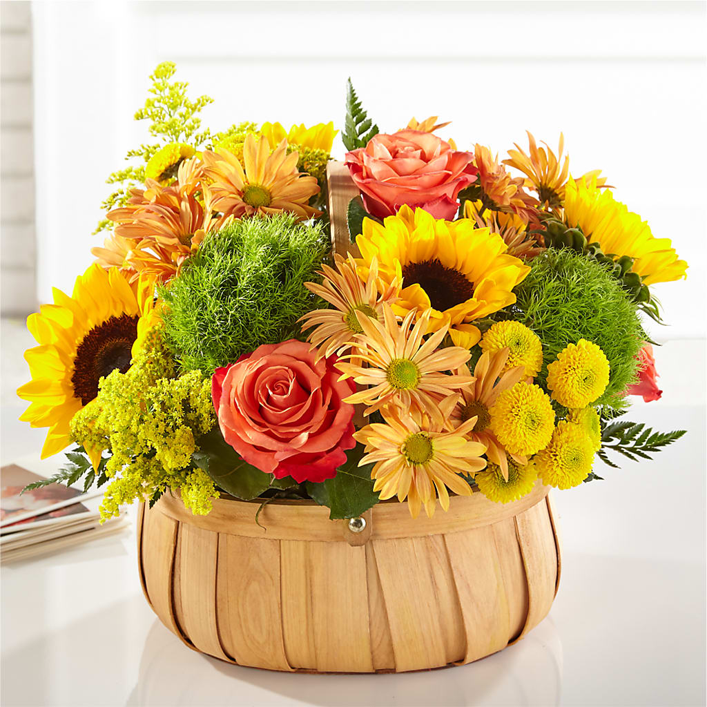 Harvest Sunflower Basket – Gerbes, Wichita KS