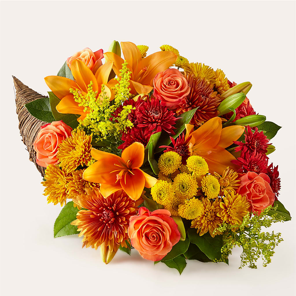 Feast of Color Cornucopia – Gerbes, Wichita KS