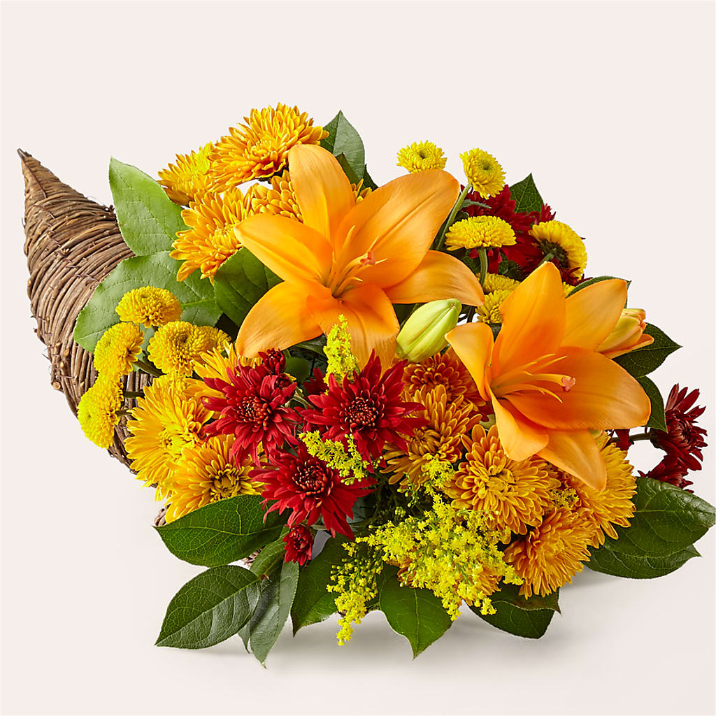 Feast of Color Cornucopia – Gerbes, Wichita KS