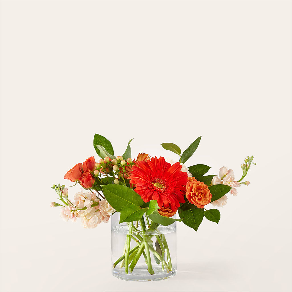 Paloma Please Bouquet – Gerbes, Wichita KS