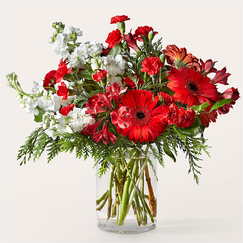 Holidaisy Bouquet – Gerbes, Wichita KS
