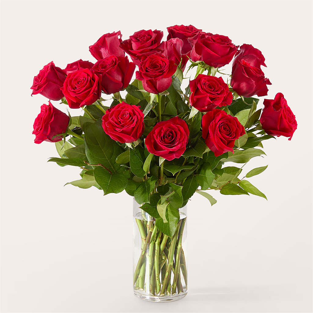The One Red Rose Bouquet – Gerbes, Wichita KS