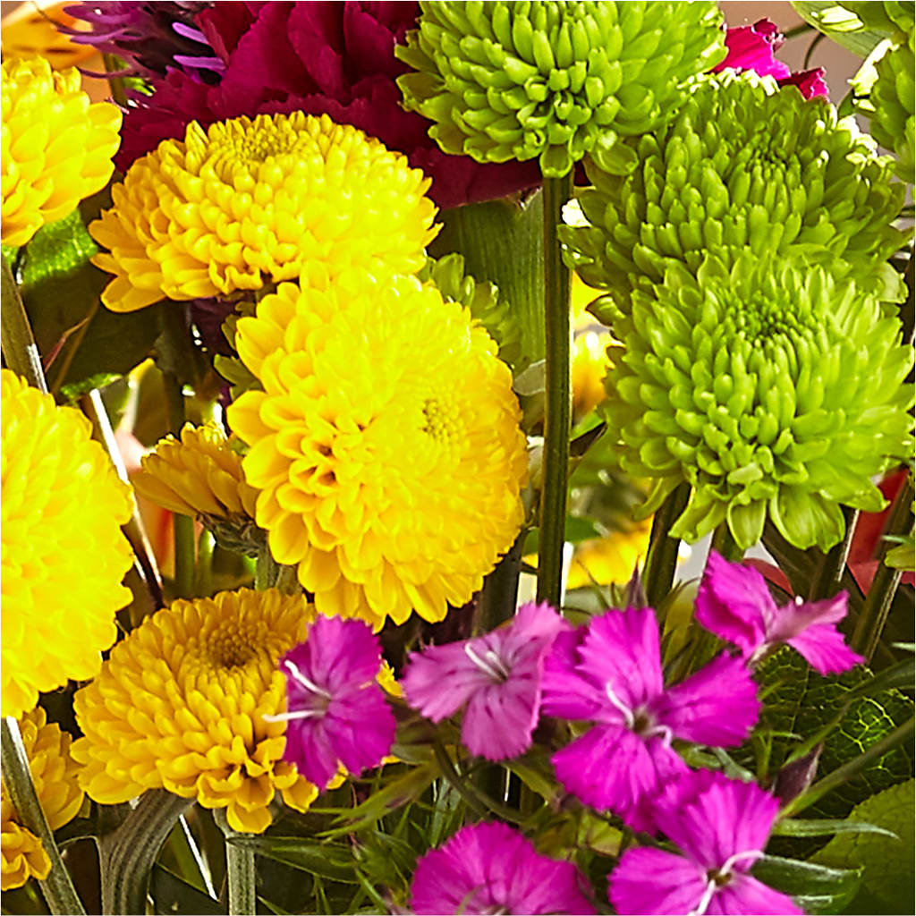 Bold & Bright – A Florist Original –  Gerbes, Wichita KS