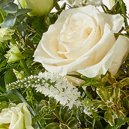 Cashmere Bouquet –  Gerbes, Wichita KS