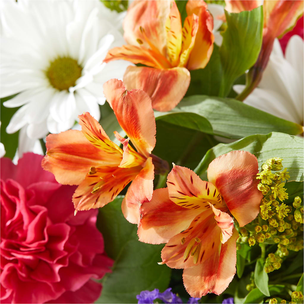 Oopsie Daisy Box Bouquet –  Gerbes, Wichita KS
