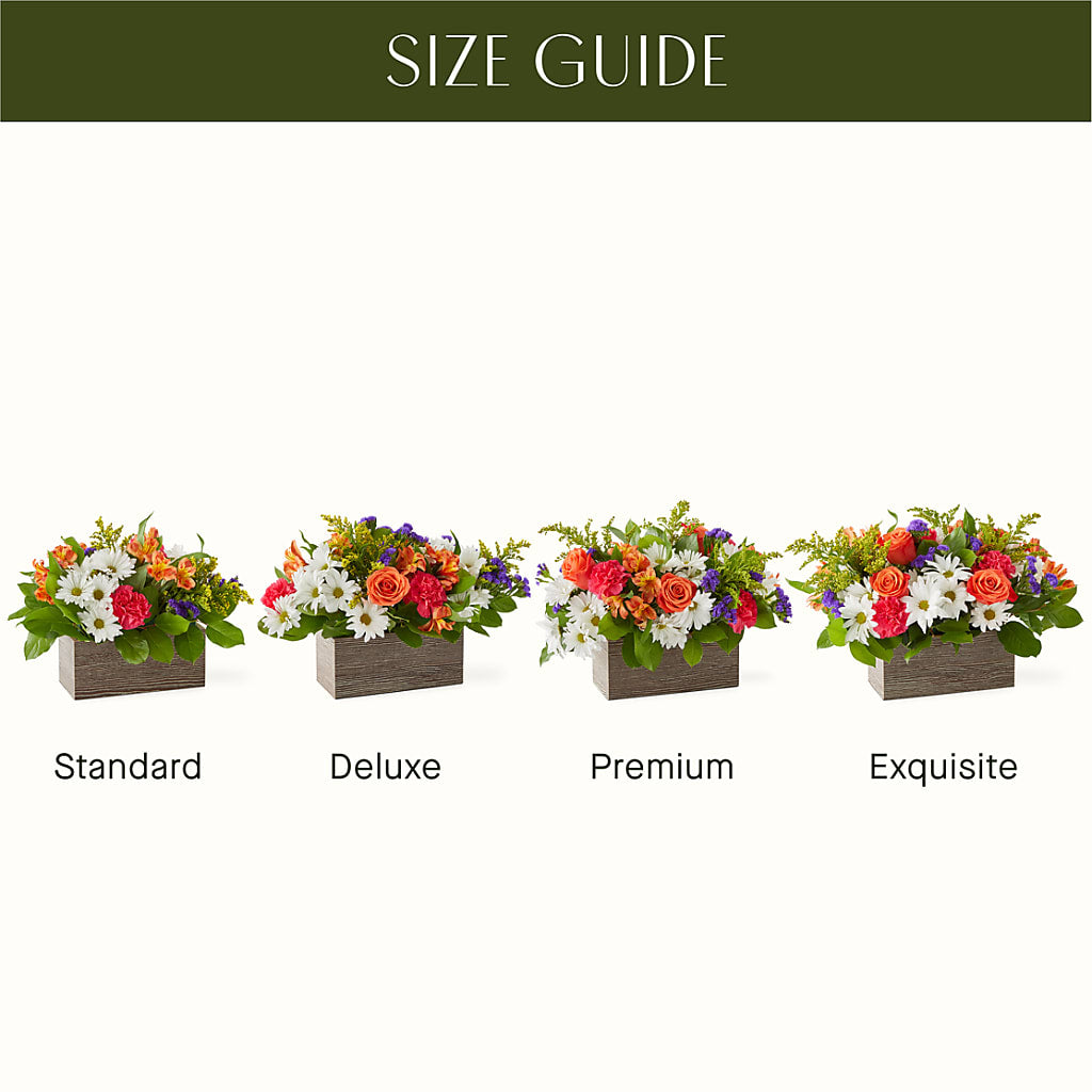 Oopsie Daisy Box Bouquet –  Gerbes, Wichita KS