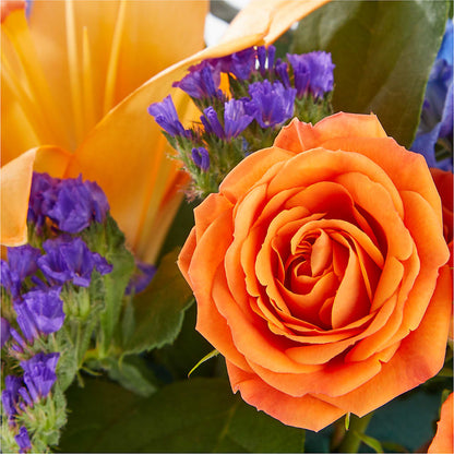 Radiant Citrus Box Bouquet –  Gerbes, Wichita KS