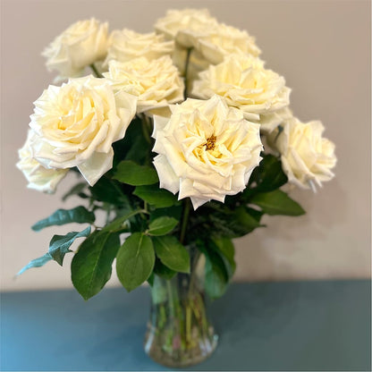 Long Stem Yellow Rose Bouquet –  Gerbes, Wichita KS