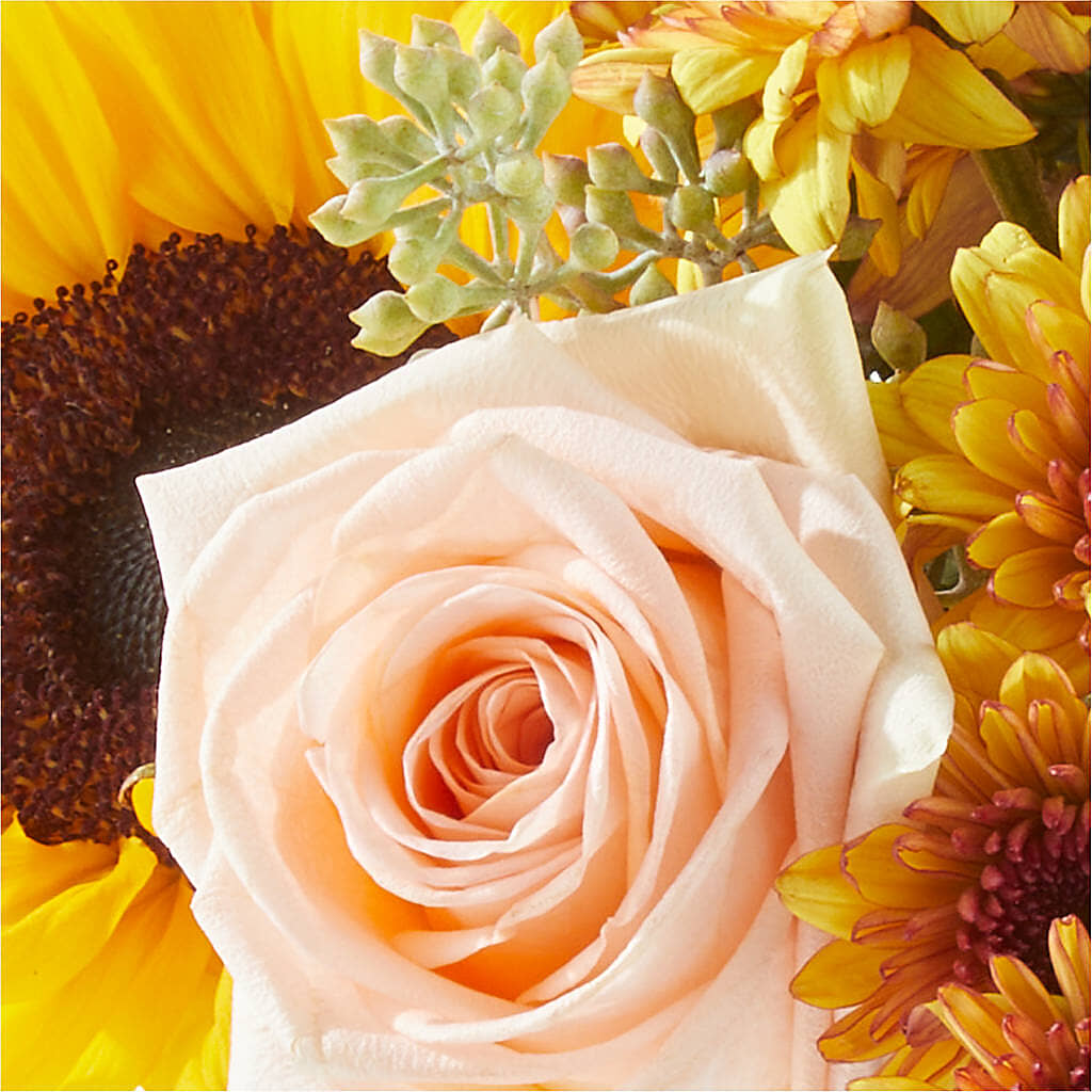 Pumpkin to Talk About Bouquet –  Gerbes, Wichita KS