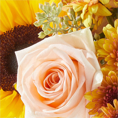 Pumpkin to Talk About Bouquet –  Gerbes, Wichita KS