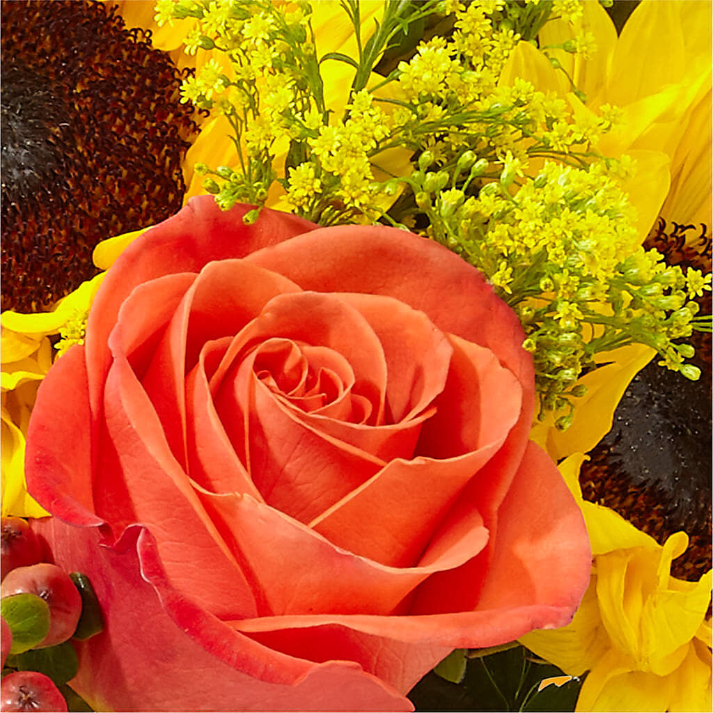 Pick of the Patch Pumpkin Bouquet –  Gerbes, Wichita KS