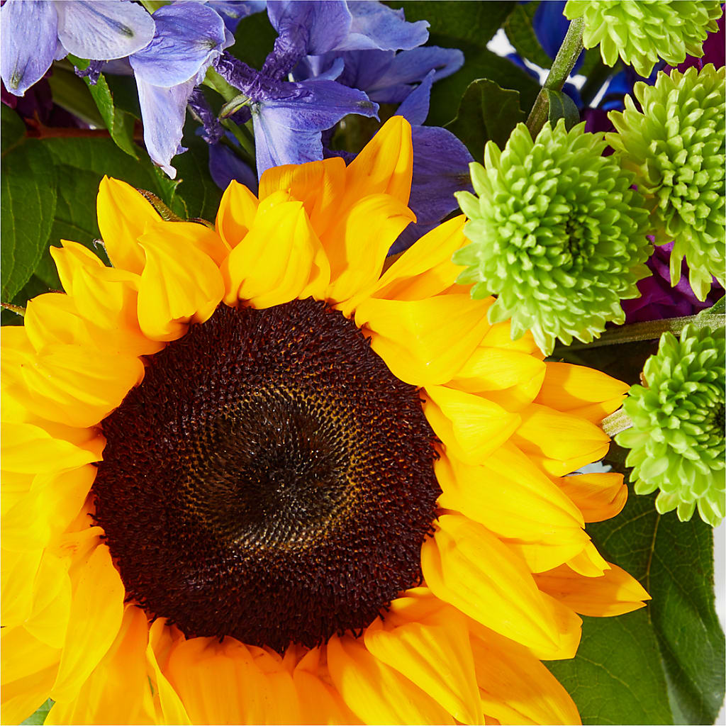 Catching Rays Bouquet –  Gerbes, Wichita KS