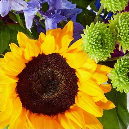 Catching Rays Bouquet –  Gerbes, Wichita KS