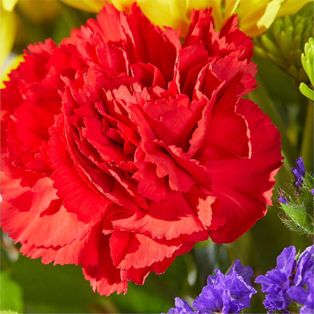 Brighter Days Bouquet –  Gerbes, Wichita KS