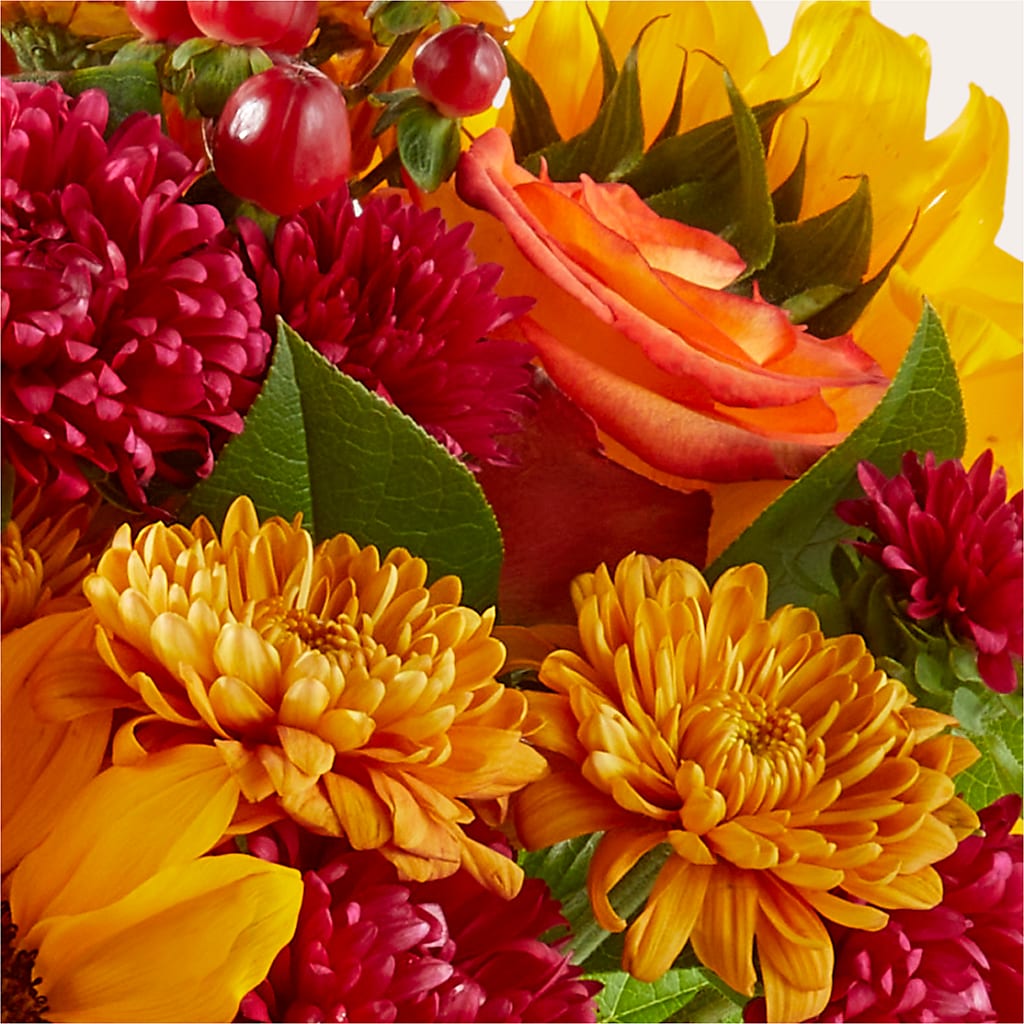 Sweater Season - A Florist Original –  Gerbes, Wichita KS