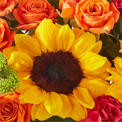 Sun-drenched Blooms Box Bouquet –  Gerbes, Wichita KS
