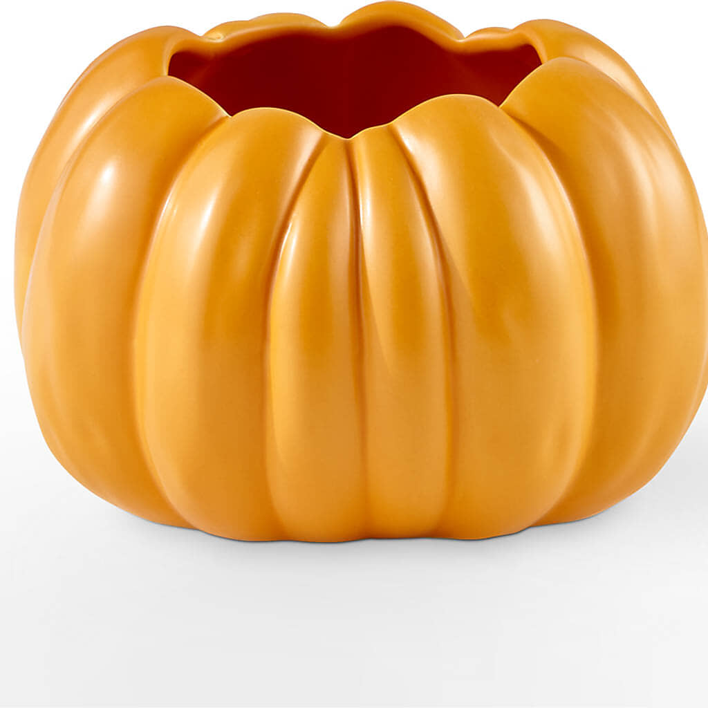 Pick of the Patch Pumpkin Bouquet –  Gerbes, Wichita KS