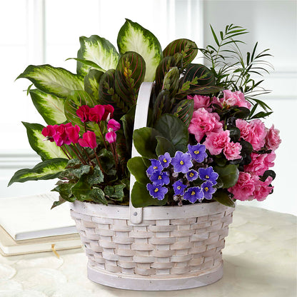 Peaceful Garden Planter –  Gerbes, Wichita KS