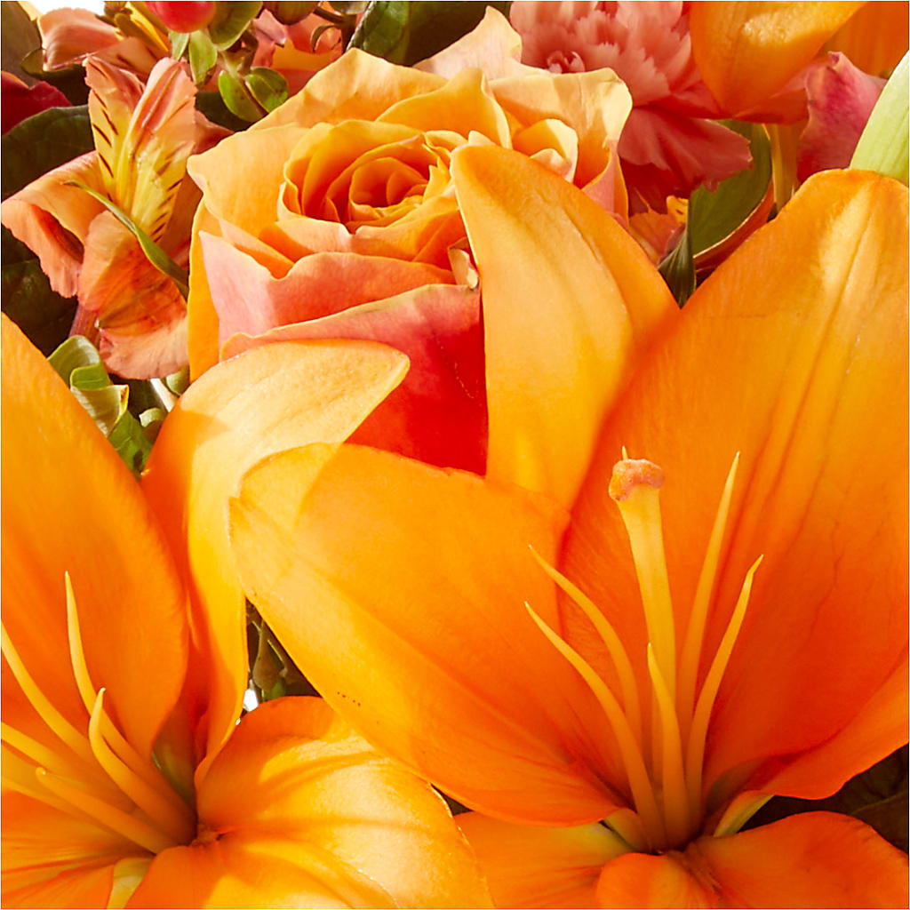 Afternoon Light Bouquet –  Gerbes, Wichita KS