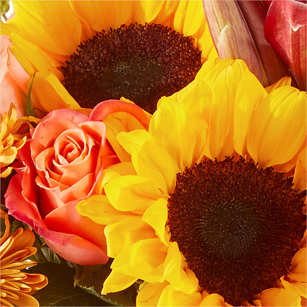 Acorn Lane Bouquet –  Gerbes, Wichita KS