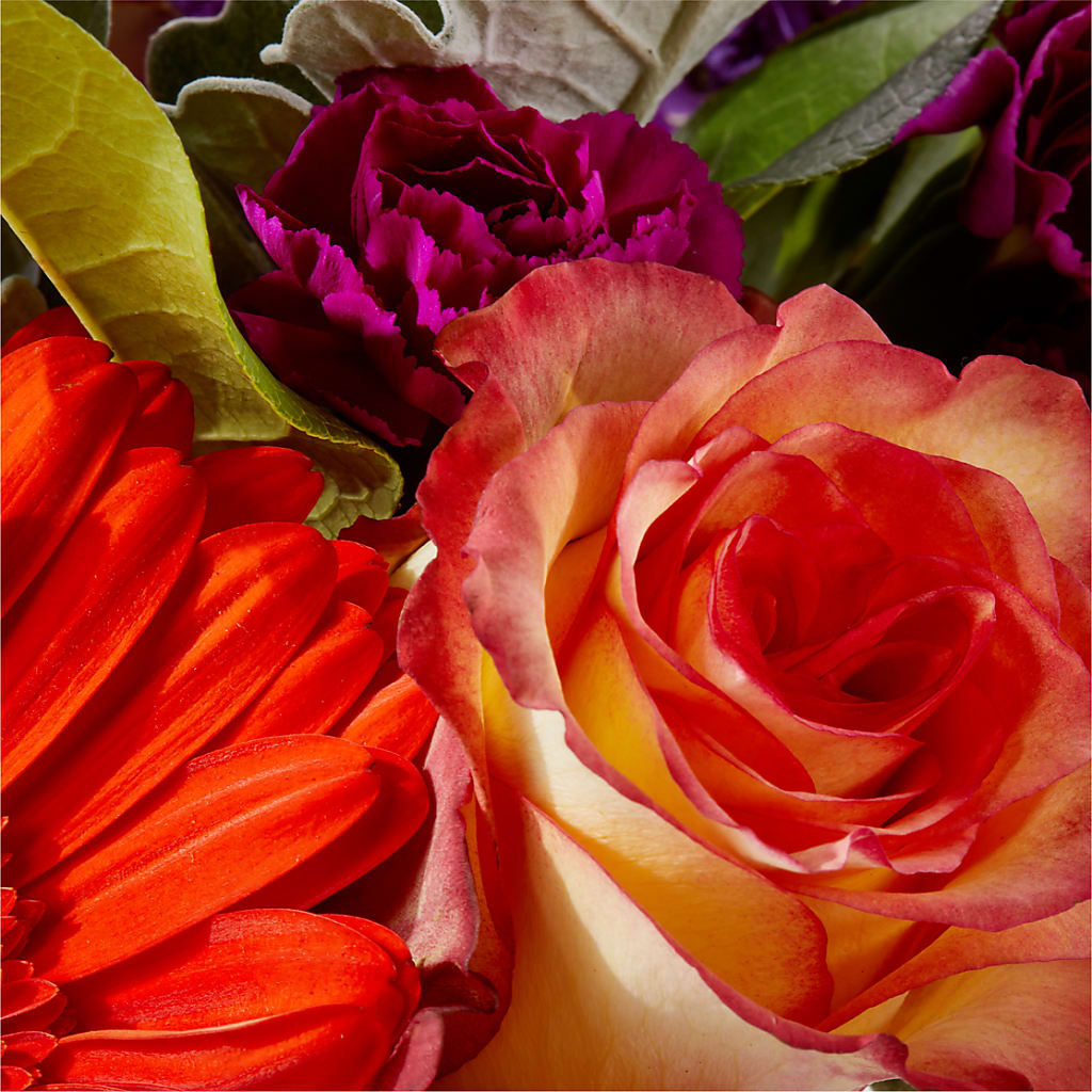 Sangria Bouquet –  Gerbes, Wichita KS