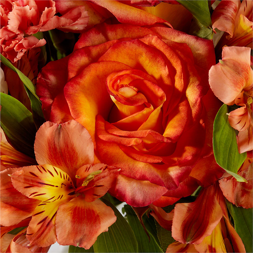 Apricot Glow Bouquet –  Gerbes, Wichita KS