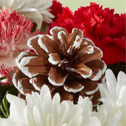Candy Cane Lane Bouquet –  Gerbes, Wichita KS