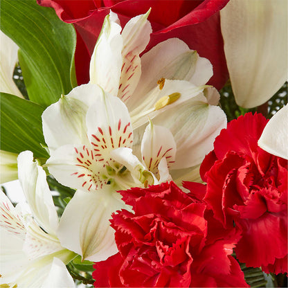 Holiday Season Bouquet –  Gerbes, Wichita KS