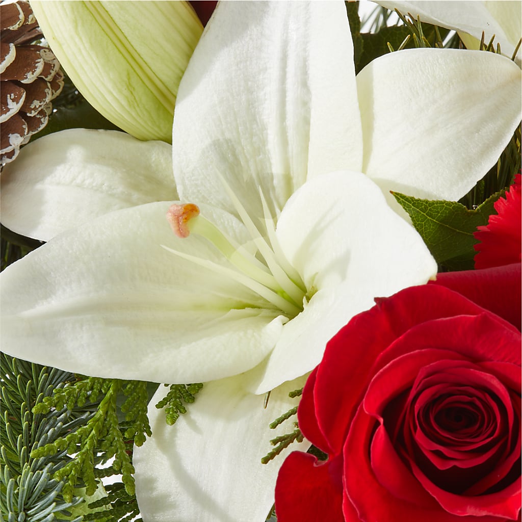 Oh So Jolly Bouquet –  Gerbes, Wichita KS