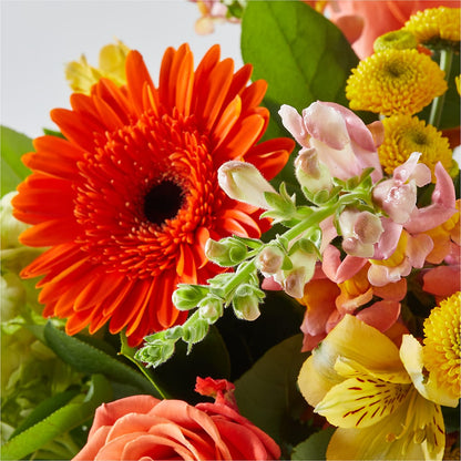 Autumn Sunshine Bouquet –  Gerbes, Wichita KS