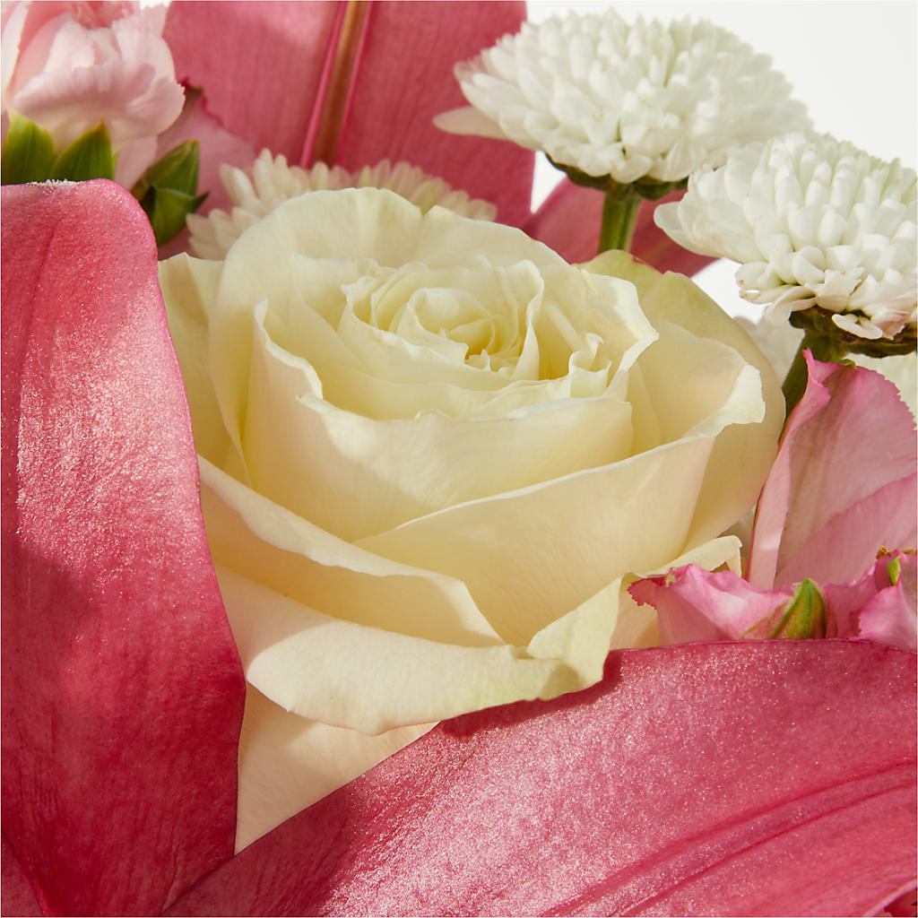 Piece of Cake Bouquet –  Gerbes, Wichita KS
