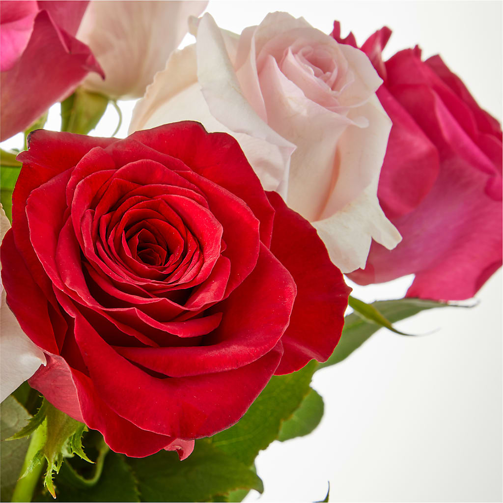 Charming Rose Bouquet –  Gerbes, Wichita KS