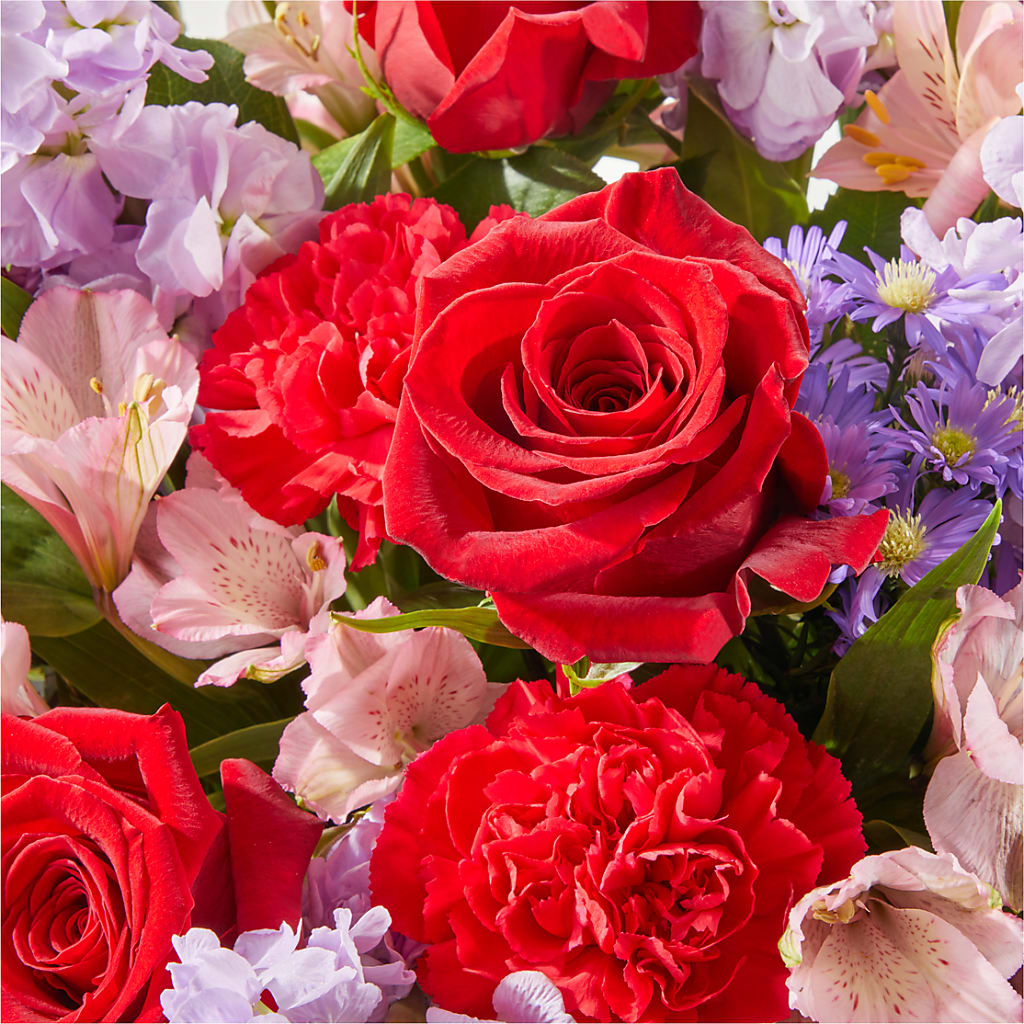 Your Majesty Bouquet –  Gerbes, Wichita KS