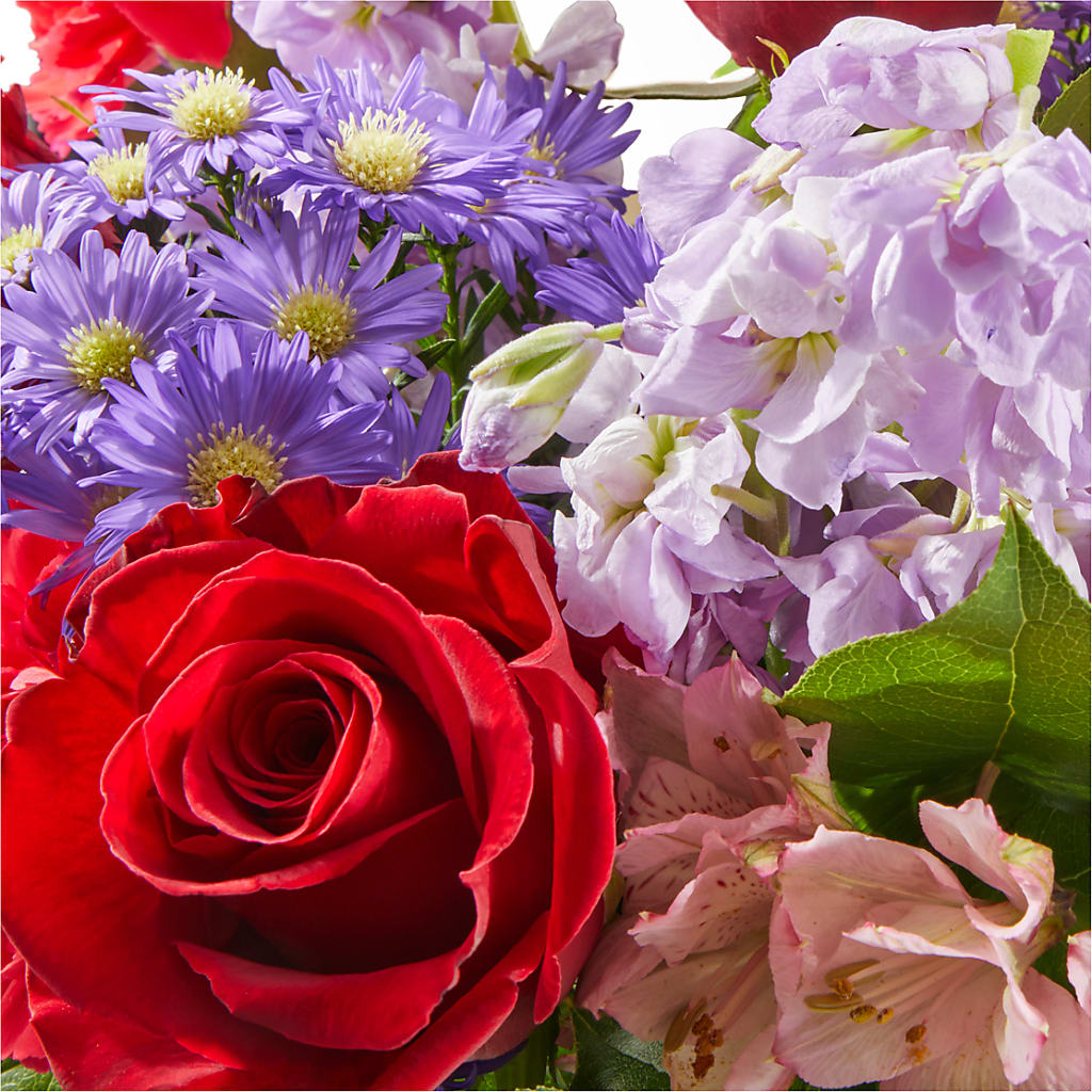 Your Majesty Bouquet –  Gerbes, Wichita KS