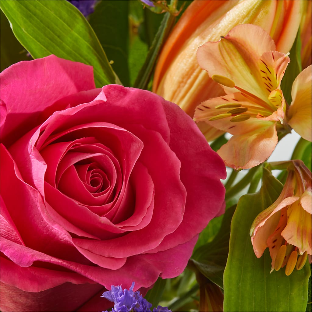 Joyful Bouquet –  Gerbes, Wichita KS