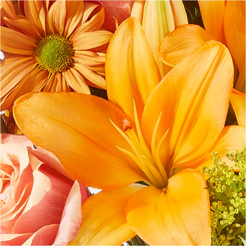 Harvest Hayride Bouquet –  Gerbes, Wichita KS