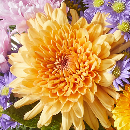 Countryside Bouquet –  Gerbes, Wichita KS