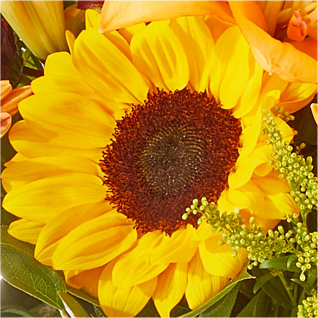 Seasons Change Bouquet –  Gerbes, Wichita KS
