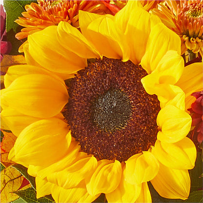 Sunny Side Bouquet –  Gerbes, Wichita KS