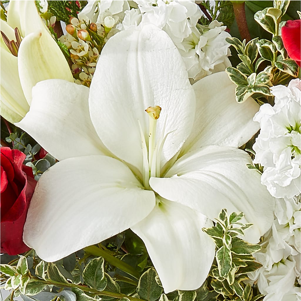 Twinkle Lights Bouquet –  Gerbes, Wichita KS
