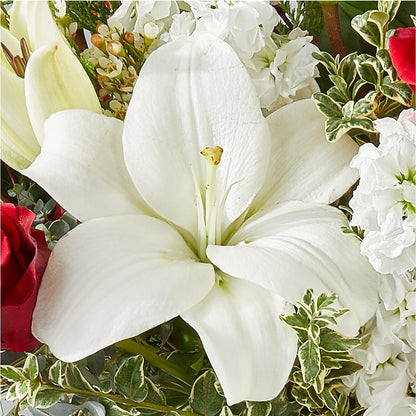 Twinkle Lights Bouquet –  Gerbes, Wichita KS